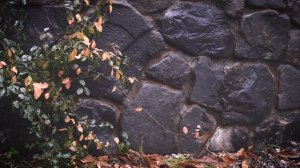 수면을 돕는 편안한 빗소리가 들립니다 | Rain sounds for sleeping cozy rain | 10hours