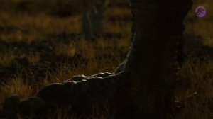 Реакция на «The Last Dino». «Мир Юрского периода» изменил динозавров.