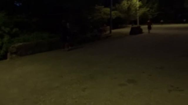 Sony DSC-WX220 outdoor footage - Part 2 смотреть онлайн