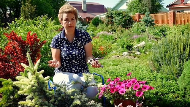 SOS! Вирусы атаковали растения смотреть онлайн