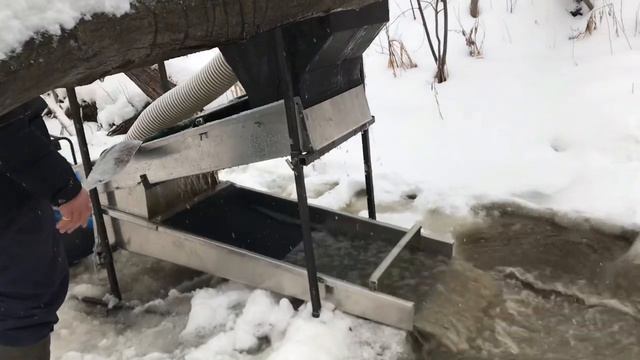 Златая рыбка /Gold Fish смотреть онлайн