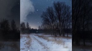 Музыка для расслабления. Зимний вечер в лесу