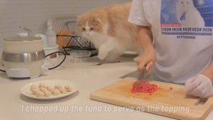 LuLu Om Nom Noms Sushi in One Bite! | Kittisaurus