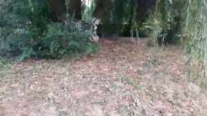 Тамань.Путь к источнику.Турецкий фонтан.#россия #новости