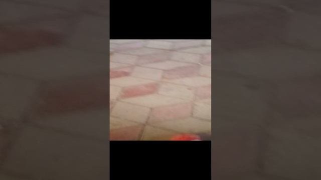 песня 🌺🌺💐