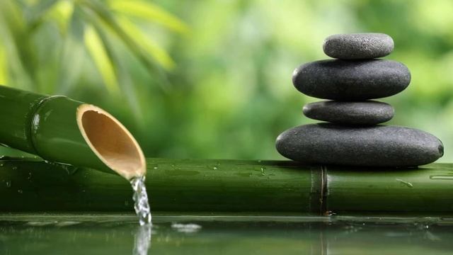 Ченнелинг Плеяды ушли Аркадий Петров Волшебная Школа смотреть онлайн