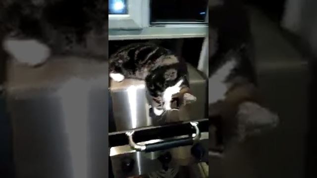 Реклама газового гриля Broil king))))) смотреть онлайн