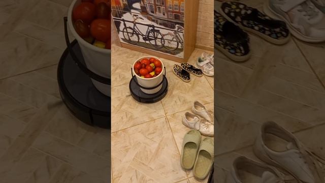 Робот сборщик урожая.