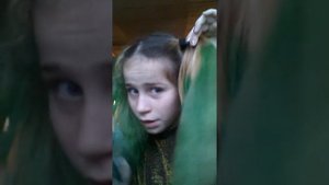Как можно покрасить волосы без краски для волос