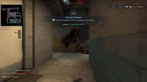 Вильник покоряет узбека в CS:GO