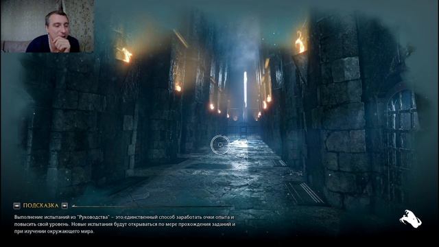 Hogwarts Legacy#5 БИБЛИОТЕКА смотреть онлайн