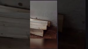 Кузгә яшьләр килә! Алмаз Мирзаянов - Нигез йорт. Яңа шигырь!