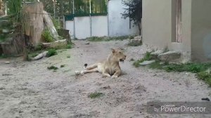 ЗООПАРК В РИГЕ,ZOO IN RIGA,Rīgas Nacionālais zooloģiskais dārzs