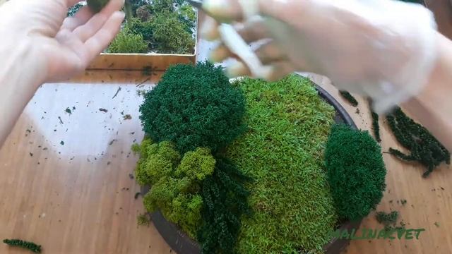Картины из мха. Живые стены. Панно.