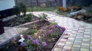 Как правильно ложить тротуарную плитку