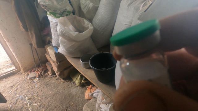 Поросята не ростуть, вага падає . Профілактика від глистів. Вакцинація кроликів. смотреть онлайн