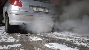 Peugeot 206 tu5jp4 exhaust