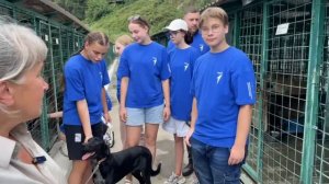 Во Всемирный день бездомных животных Движение Первых посетили наш приют Поводог в Сочи