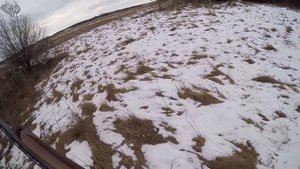 Охота #79 стрелял зайца