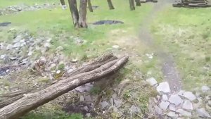 Светловодск сегодня