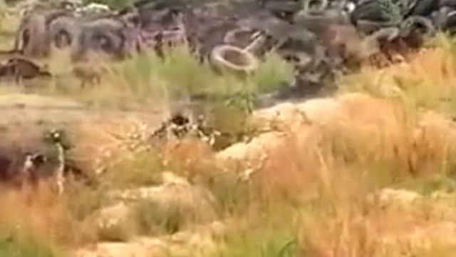 Снайпер против снайпера смотреть онлайн