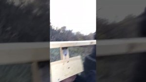 Про эффективность применения травматического пистолета.