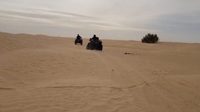 На квадроциклах по Сахаре смотреть онлайн