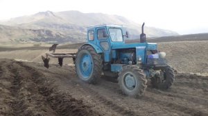 Трактор Т-40 с плугом в огороде.Обработка земли трактором.