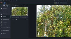 Camtasia Studio 9  Как использовать функцию Масштабирование для приближения или отдаления предмета