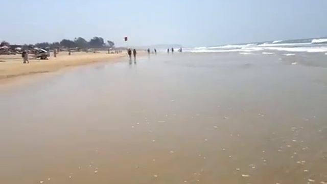 Прогулка по пляжу Калангута