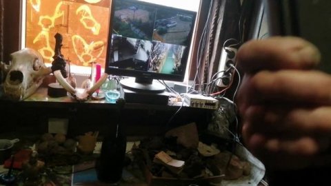 БЕЛОВОДЬЕ. Музей с артефактами. Череп пришельца. Забавные животные.