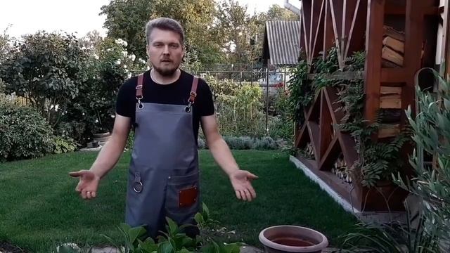 ГОРТЕНЗИЯ + СОСНОВЫЙ ОПАД = ХОРОШИЙ РЕЗУЛЬТАТ смотреть онлайн