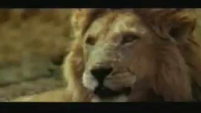 Африка прикол смотреть онлайн