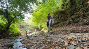 Конные прогулки в "Ущелье Бабы Яги" (Абхазия)