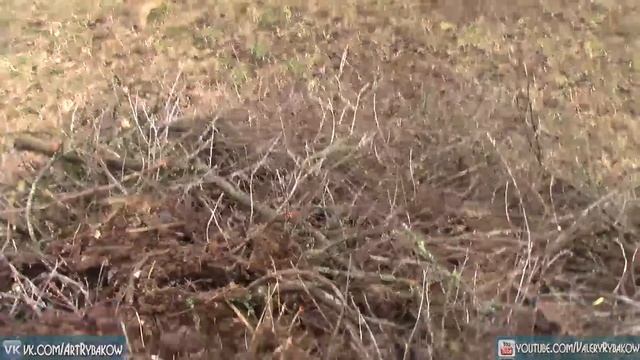 Художник в деревне 9 выпуск. 3 дня работы и в итоге