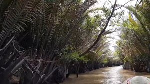 Катание на лодке по джунглям реки Миконг