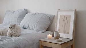 Почему нельзя выбрасывать подушки и что с ними делать, если они отслужили свое?