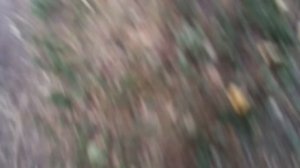 снюса-гопник