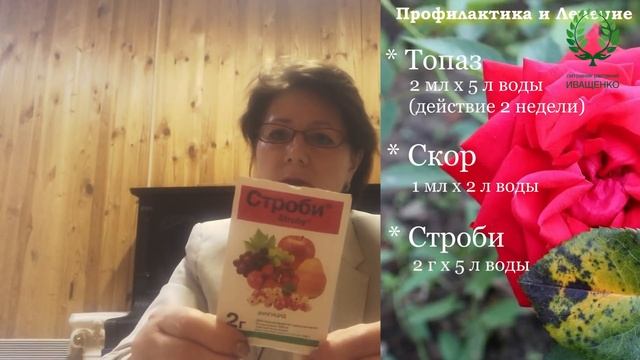 Болезни Роз-2ч/ Чёрная пятнистость. Серая гниль смотреть онлайн