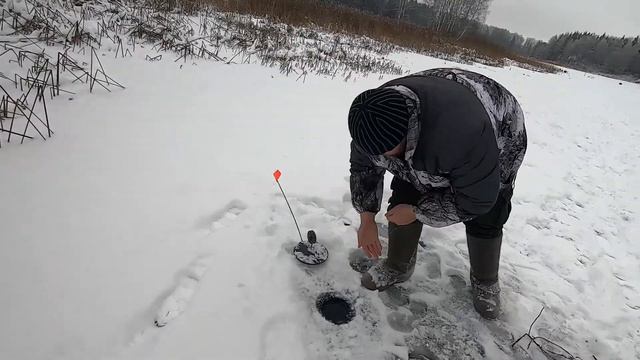 ЛОВИМ РЫБУ ПОД НОСОМ У РЫБОХРАНЫ. РЫБАЛКА НА ЖЕРЛИЦЫ. ЖЕРЛИЦЫ. смотреть онлайн