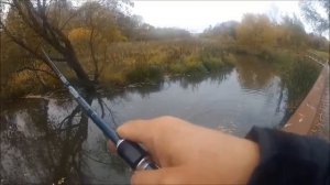 1 Рыбалка рядом с домом Медведково Джамгаровский пруд