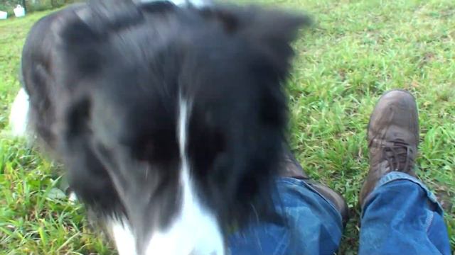 Danny Dog - 1 смотреть онлайн