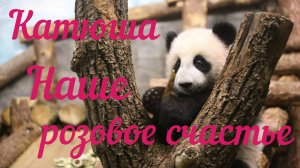 Панда | Московский зоопарк | Наше розовое счастье