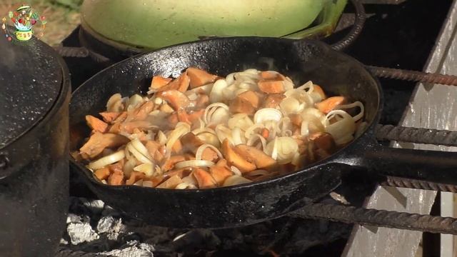 Дачная кухня. Рыжики в сметане смотреть онлайн