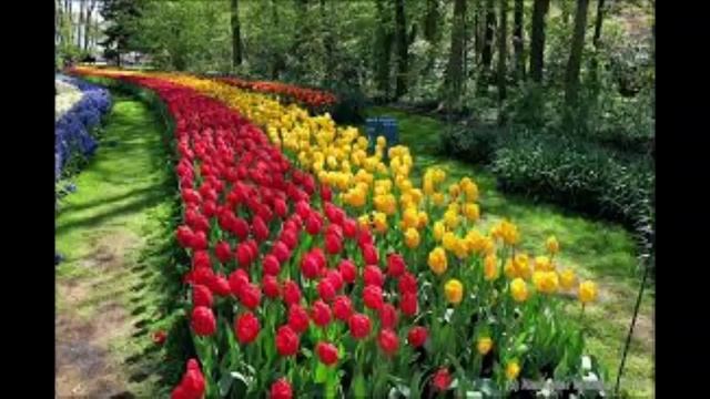 Красивое нежное поздравление с 8 Марта - откровение мужчин! смотреть онлайн