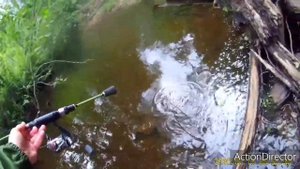 Ручьевая форель и хариус на микроколебалки