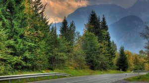 Моцарт - Симфония №12 Менуэт - соль мажор (Mozart - Menuetto, Symphony No. 12 in G)