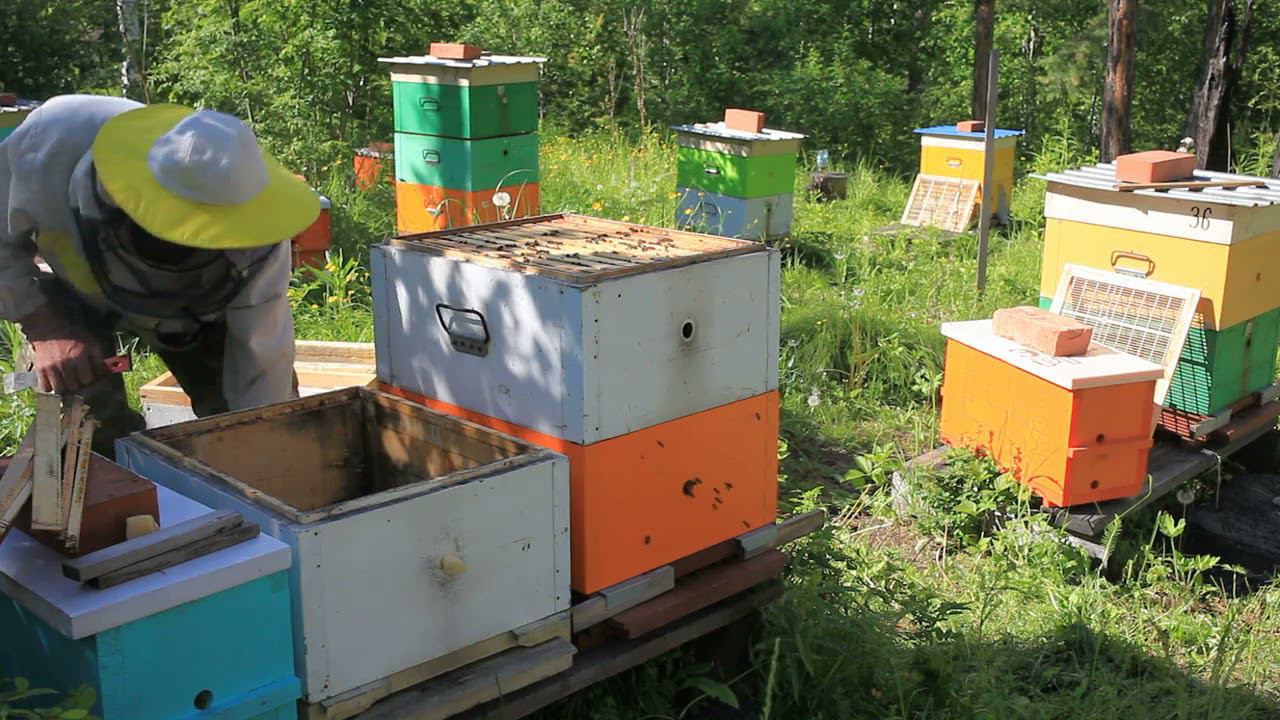 Постановка третьего корпуса смотреть онлайн