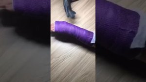 Скотчкаст или полимерный гипс