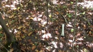 Тайны  и Загадки  Истории Абрека Зелимхана продолжение 1